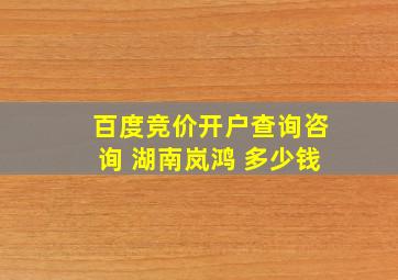 百度竞价开户查询咨询 湖南岚鸿 多少钱